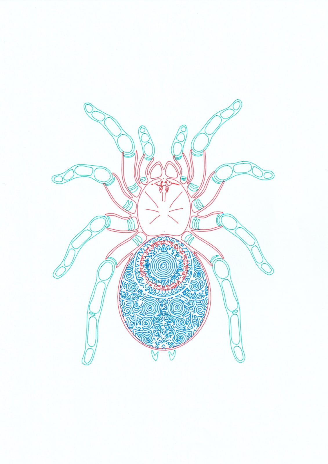 Ornamental Tarantula