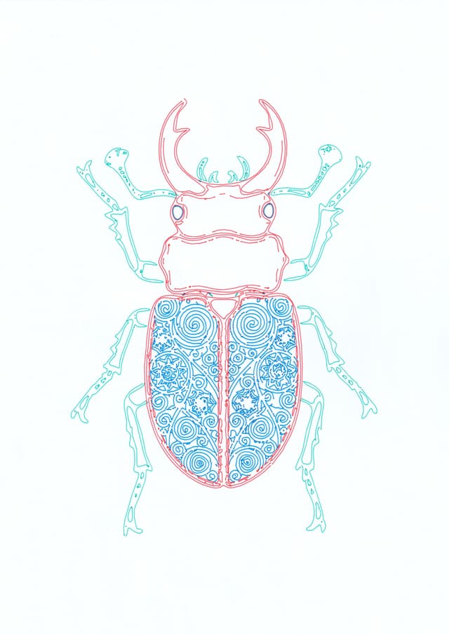 Stag Beetle