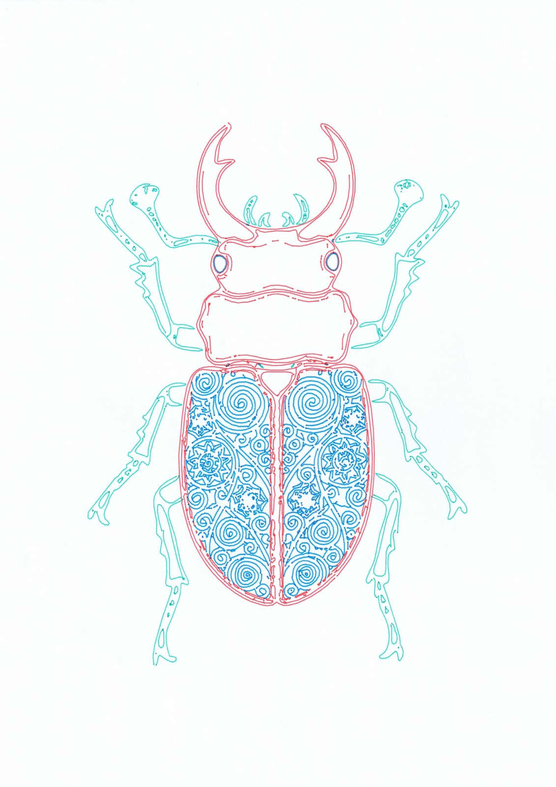 Stag Beetle